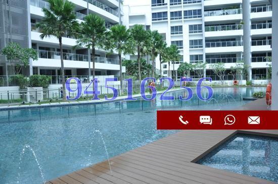 Sophia Residence (D9), Condominium #163423262